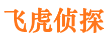 渝中市调查公司